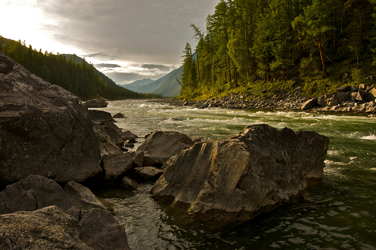 Image 10